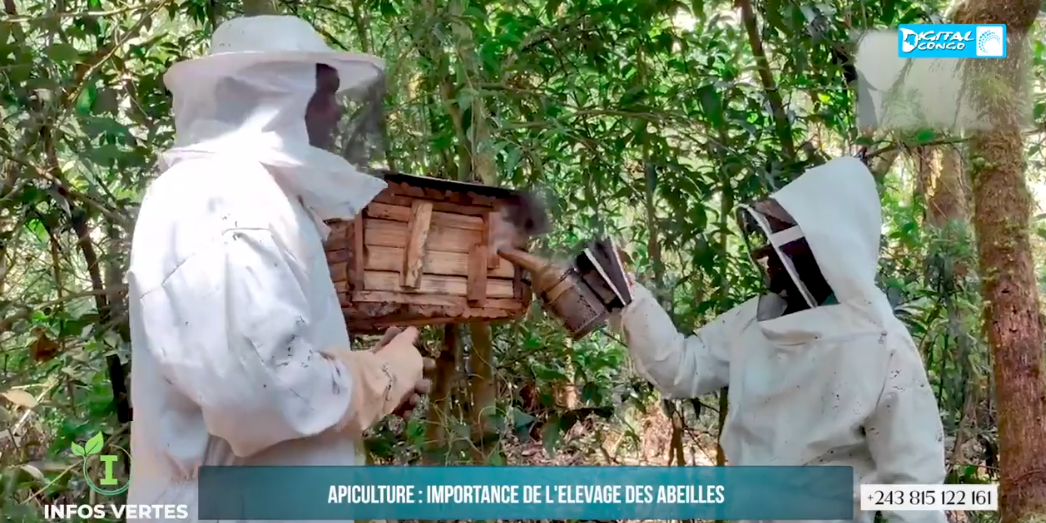 DÉCOUVREZ L'APICULTURE, L'ÉLEVAGE DES ABEILLES